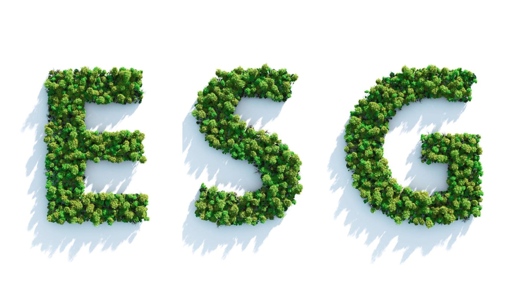 5 steps to better ESG management
